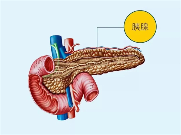 【世界胰腺癌日】關注胰腺癌，讓愛看得見