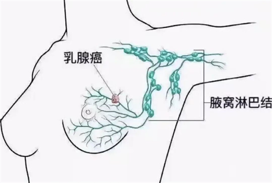 微信圖片_20250321104143.jpg
