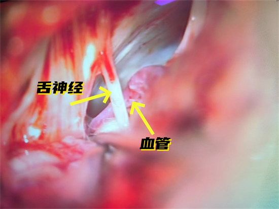 c369884369acca3d0ac241adca3cc19_副本_副本.png